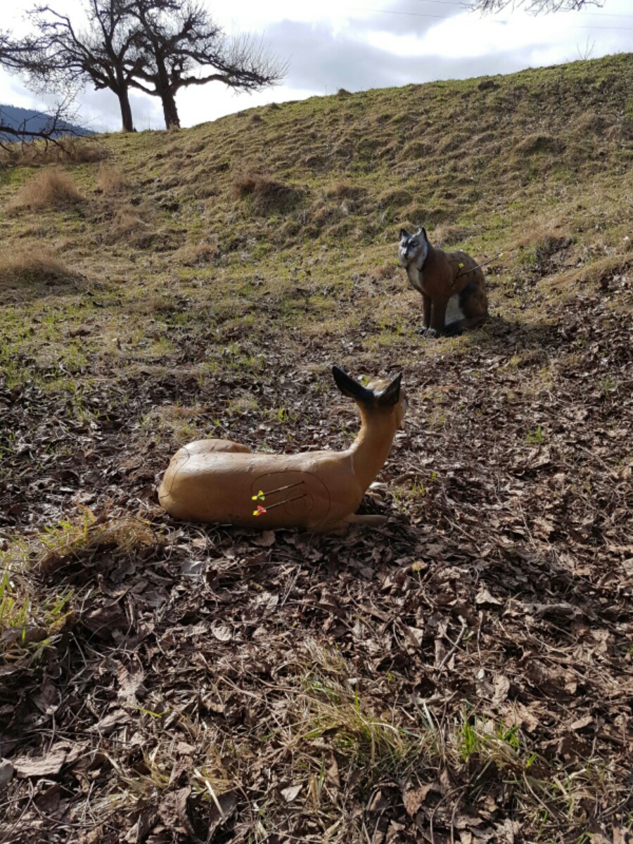 Collenberg